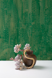 绿色背景上的多肉植物