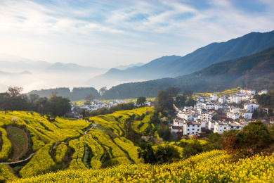 中国江西省婺源县江岭油菜花梯田