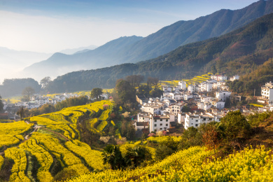 中国江西省婺源县江岭油菜花梯田