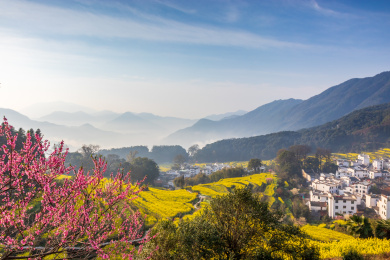 中国江西省婺源县江岭油菜花梯田