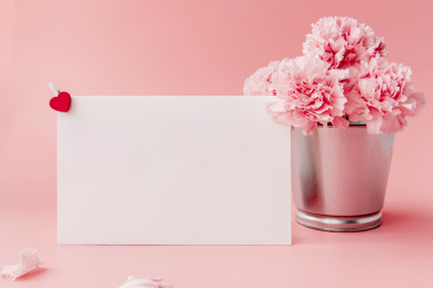 粉色背景上花盆里的康乃馨和空白卡片