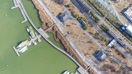 广东江门滨海新区银湖湾红树林滩涂湿地保护