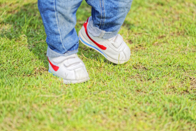 一双儿童的脚踩在绿色的草地上