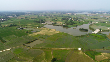 航拍中国安徽宣城郎溪县建平镇田园风光