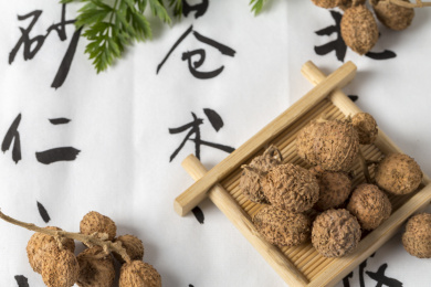 传统中药阳春砂仁静物特写