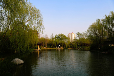 甘肃兰州黄河之滨龙源公园_站酷海洛_正版图片_视频_字体_音乐素材