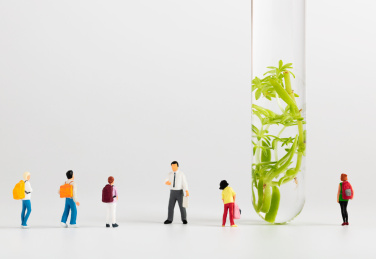 试管溶液植物老师给学生讲课