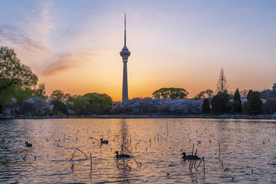 春天傍晚北京玉渊潭视角看中央电视塔