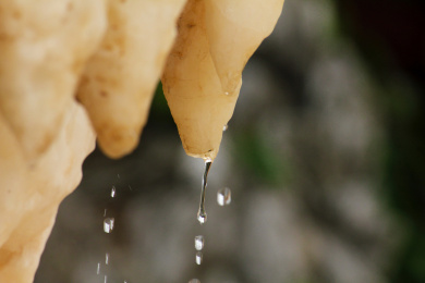 溶洞里的一片滴水的钟乳石