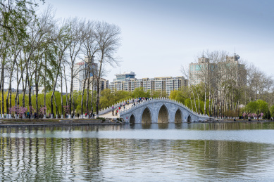 春天北京玉渊潭绿蓝色调的八一湖上五孔桥