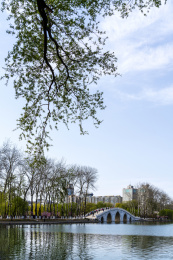 春天北京玉渊潭绿蓝色调的八一湖上五孔桥