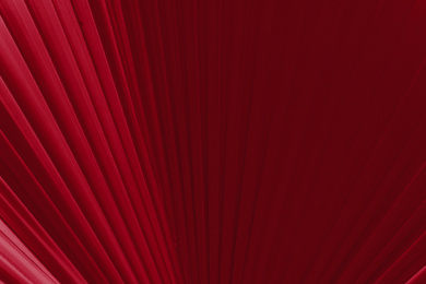 红色金箔纸纸扇 金纸