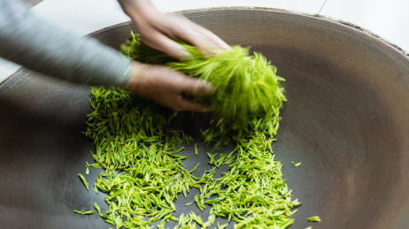 工人在炒锅中人工炒制绿茶的过程