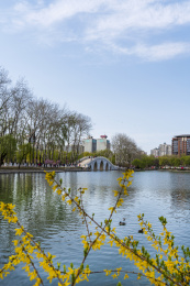 春天北京玉渊潭八一湖风光