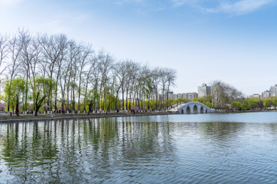 春天北京玉渊潭八一湖风光