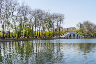 春天北京玉渊潭八一湖风光