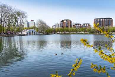 春天北京玉渊潭八一湖风光