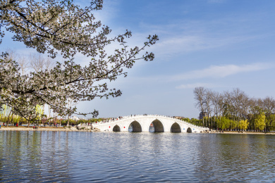 春天北京玉渊潭八一湖风光