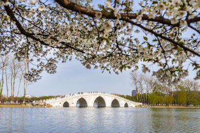 春天北京玉渊潭八一湖上五孔桥