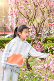 春天正在欣赏榆叶梅的中国女孩
