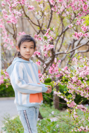 春天正在欣赏榆叶梅的中国女孩