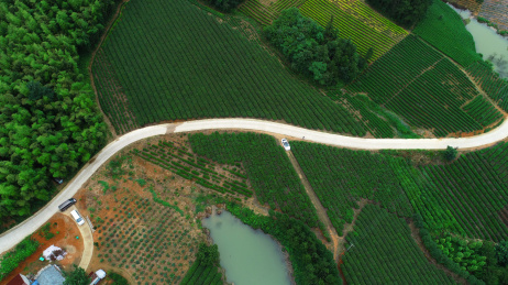 航拍中国安徽省宣城市郎溪县天子湖湖畔风光