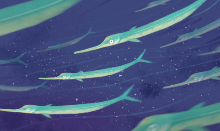 在深海遨游的绿色尖嘴鱼群横图