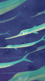 在深海遨游的绿色尖嘴鱼群