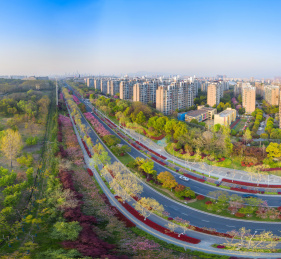 江苏南京航拍绿化带道路环抱的城市建筑景观