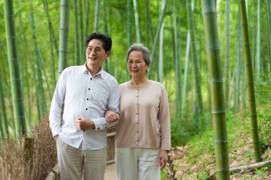 一对亚洲的老年夫妻在竹林里散步