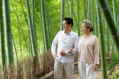 一对亚洲的老年夫妻在竹林里散步