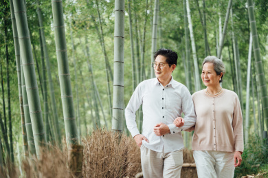 亚洲老年夫妇在竹林散步