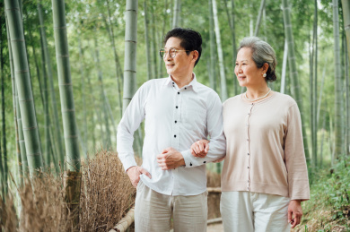亚洲老年夫妇在竹林散步