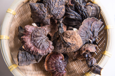 篮子里的赤灵芝