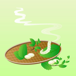 蚕和蚕丝