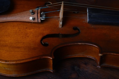 小提琴特写