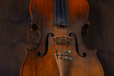 小提琴特写