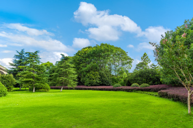 中国江苏南京明故宫遗址公园的古建筑园林_站酷海洛