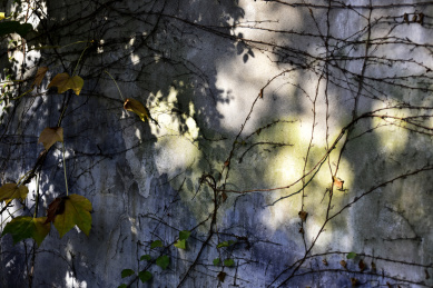 苏州虎丘秋色红叶秋天