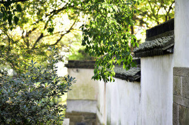 苏州园林风光白墙 苏州