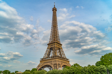 欧洲法国巴黎埃菲尔铁塔远景前景植物