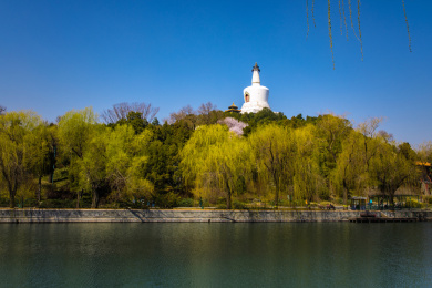 春天的北京北海公园白塔和湖水