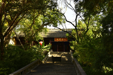 中国江苏省苏州园林虎丘景区秋天的风景