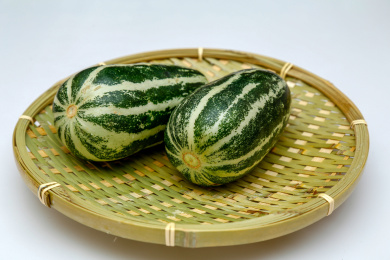 中国河北地区种植的地方特产小脆瓜