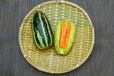 中国河北地区种植的地方特产小脆瓜