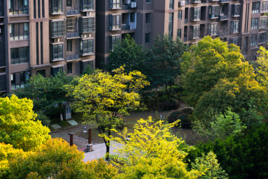 住宅小区里的美丽绿化