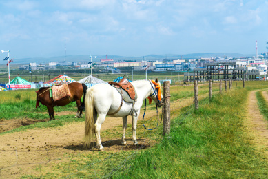 青海金银滩草原上的骏马经幡和蒙古