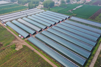 航拍山东枣庄温室蔬菜大棚