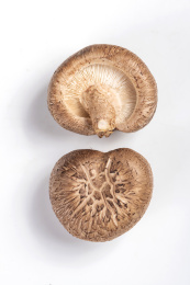 具有保健滋补功效的蔬菜鲜香菇花菇特写