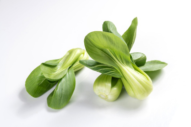 一簸箕油菜特写